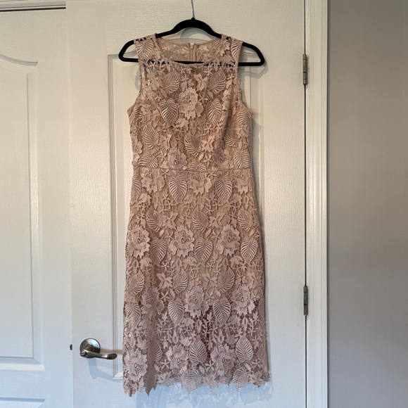 Julia Jordan Blush Lace Dress - Picture 1 of 4